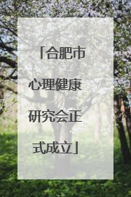 合肥市心理健康研究会正式成立